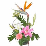 ·ʻٵ